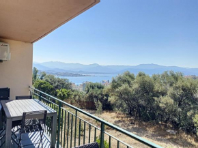 Magnifique T2 cosy au centre ville d’Ajaccio